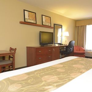 One-Bedroom King Suite